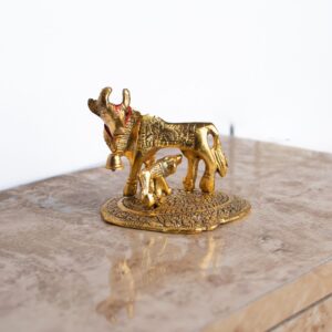 Cow medium